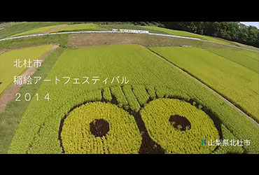 山梨県北杜市稲絵アート2014